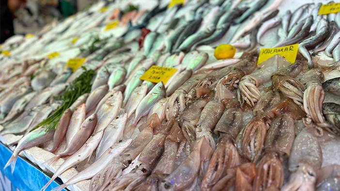 Palamutta da hile! Farkları tek tek sıraladık: Balıkçılar vatandaşı kandırıyor! 8